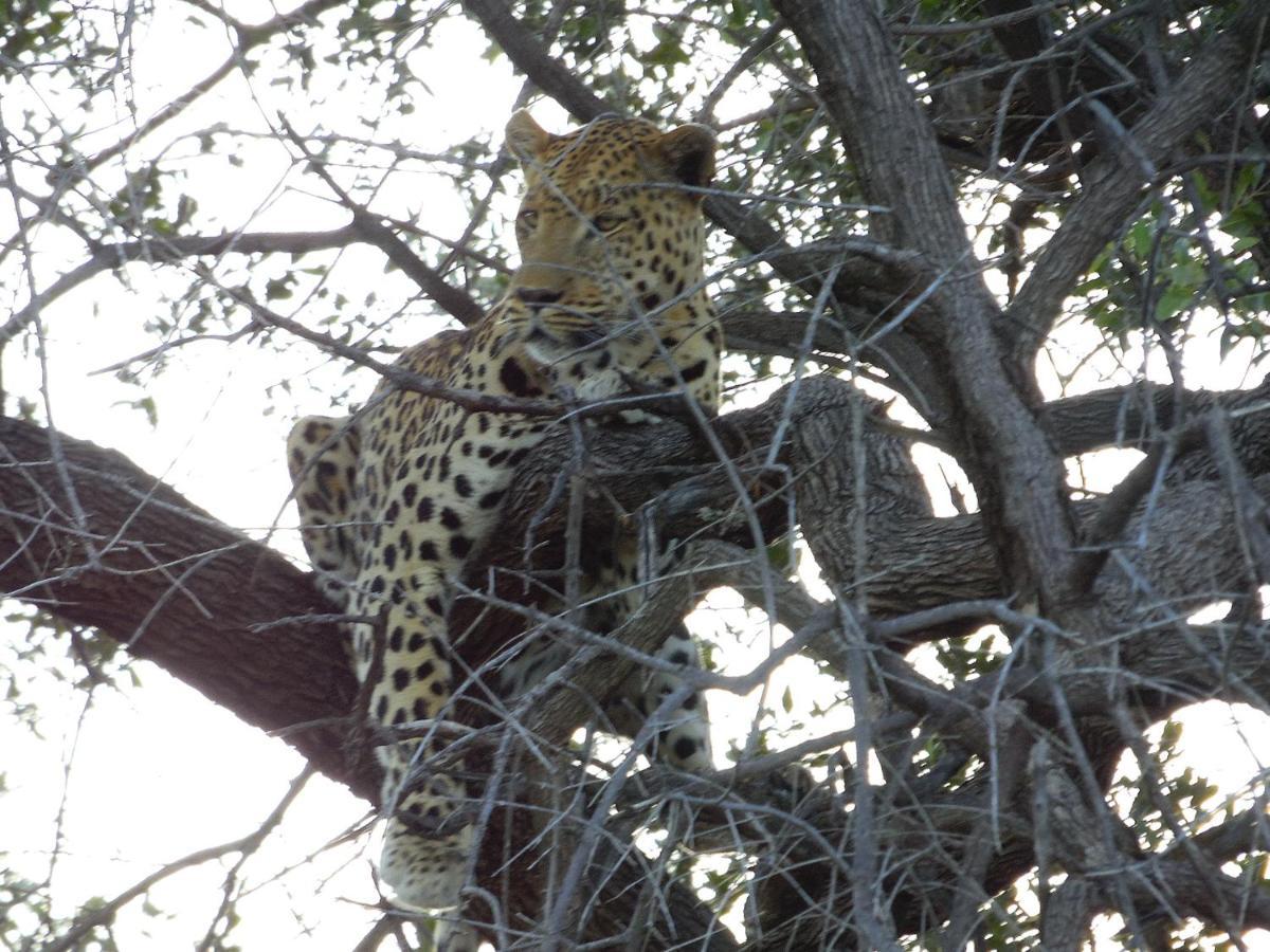 Aloegrove Safari Lodge Otjiwarongo Zewnętrze zdjęcie