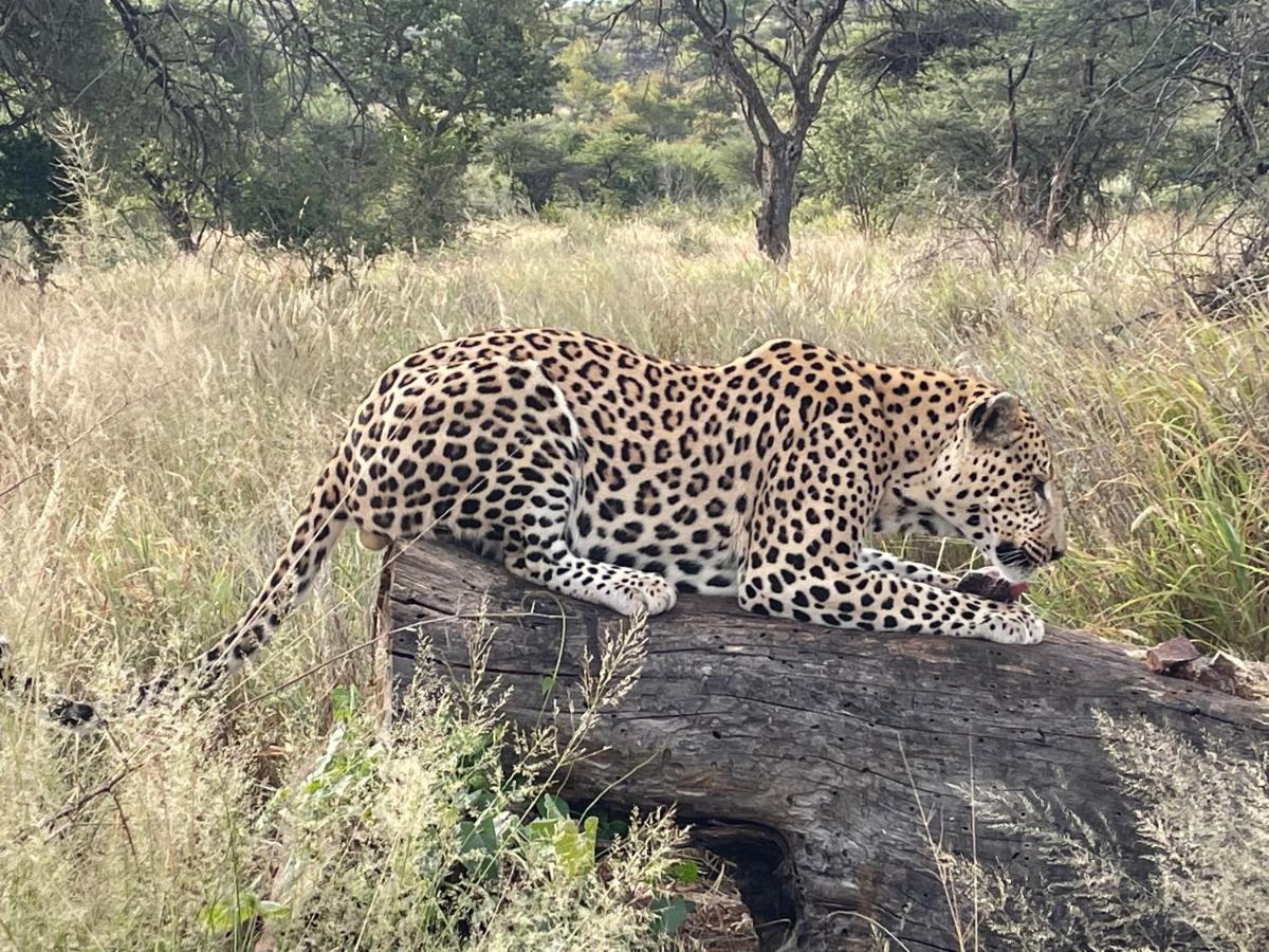 Aloegrove Safari Lodge Otjiwarongo Zewnętrze zdjęcie