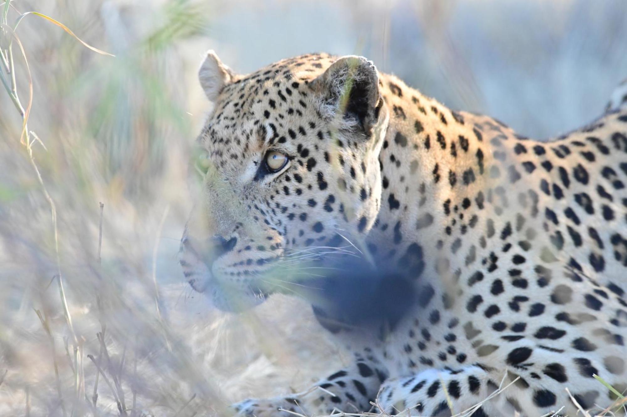 Aloegrove Safari Lodge Otjiwarongo Zewnętrze zdjęcie