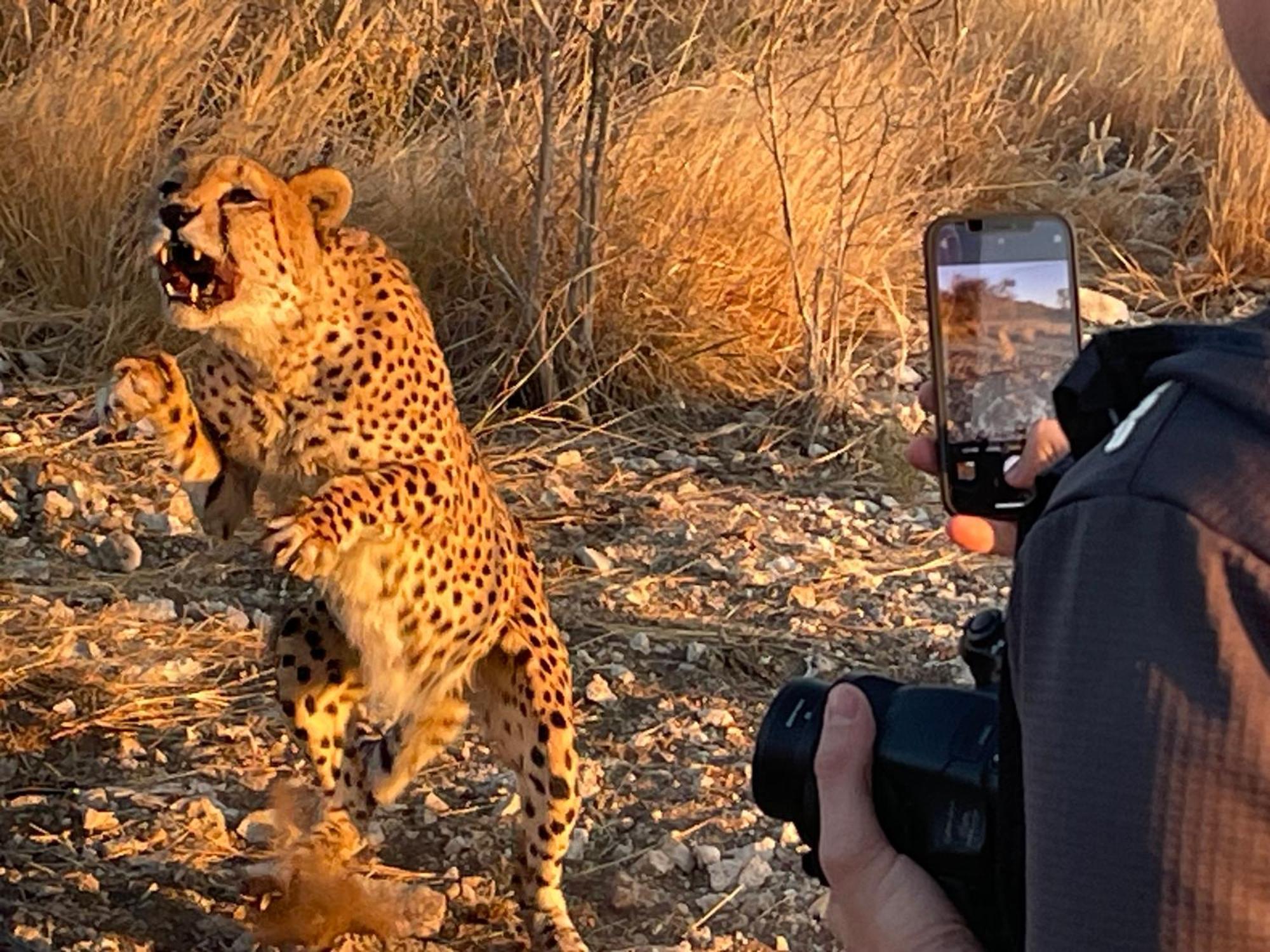Aloegrove Safari Lodge Otjiwarongo Zewnętrze zdjęcie